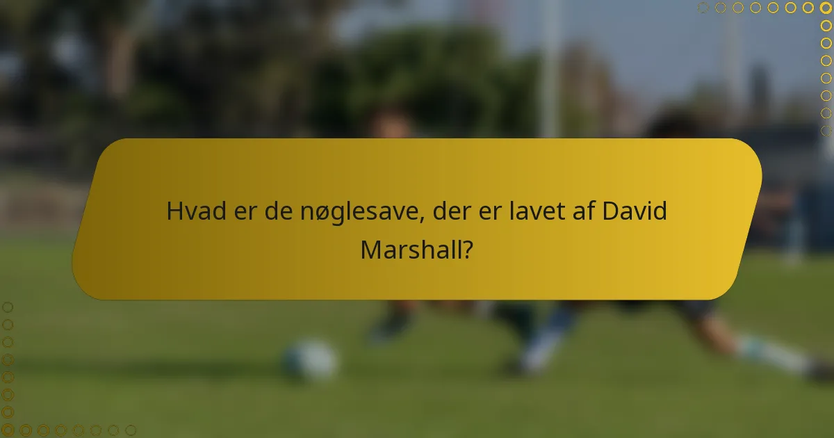 Hvad er de nøglesave, der er lavet af David Marshall?