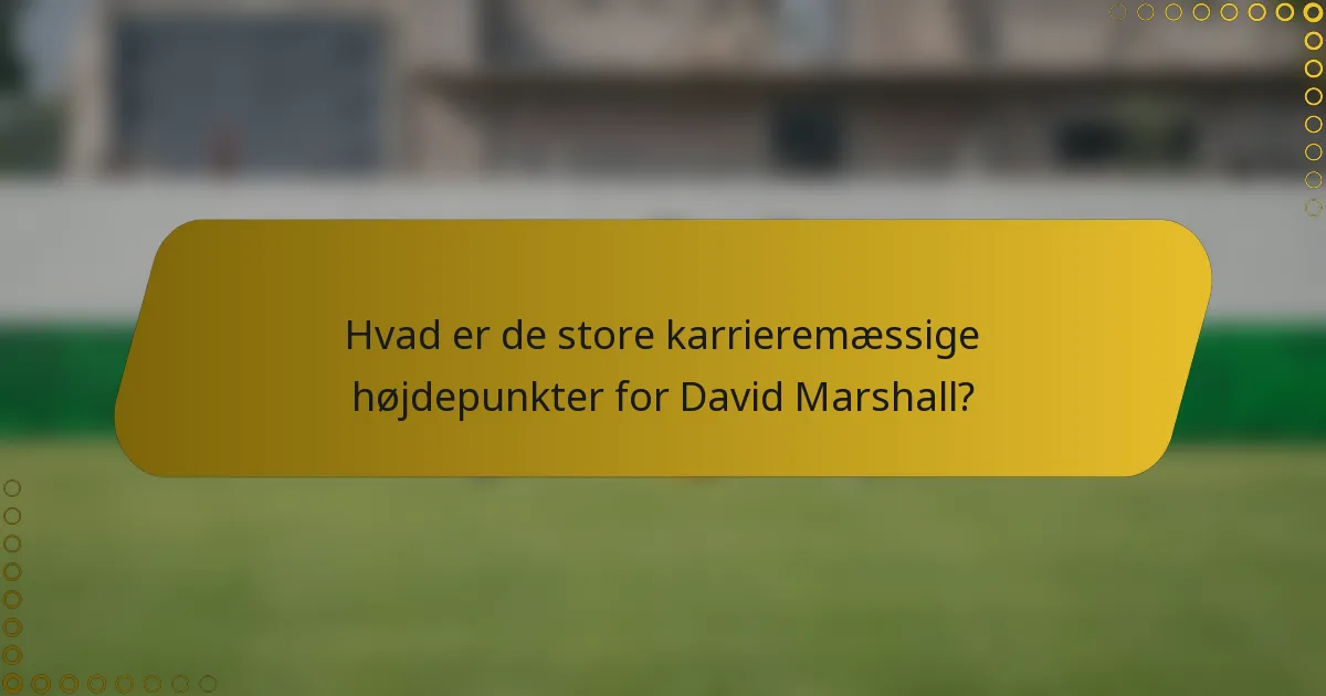 Hvad er de store karrieremæssige højdepunkter for David Marshall?