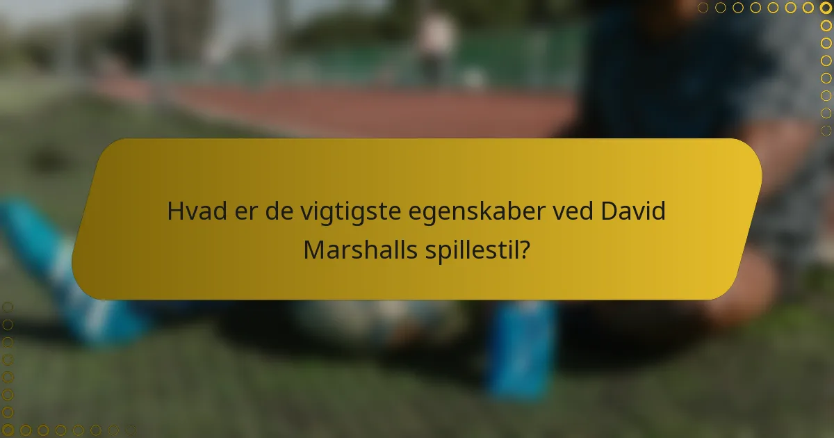 Hvad er de vigtigste egenskaber ved David Marshalls spillestil?