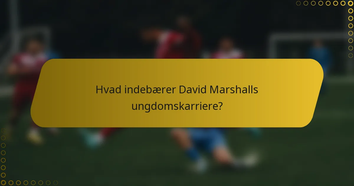 Hvad indebærer David Marshalls ungdomskarriere?